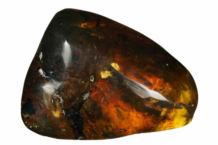 1.5" Polished Chiapas Amber (14 grams) - Mexico